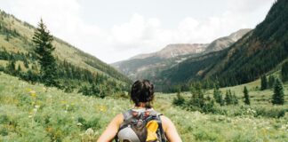 person carrying yellow and black backpack walking between green plants